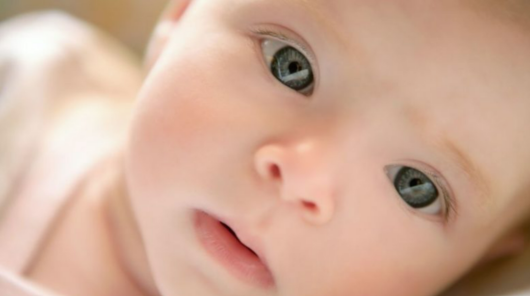 A Visual Wonderland for Your Little One! 👶💖